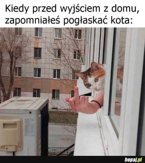 Lepiej nie zapominać xd