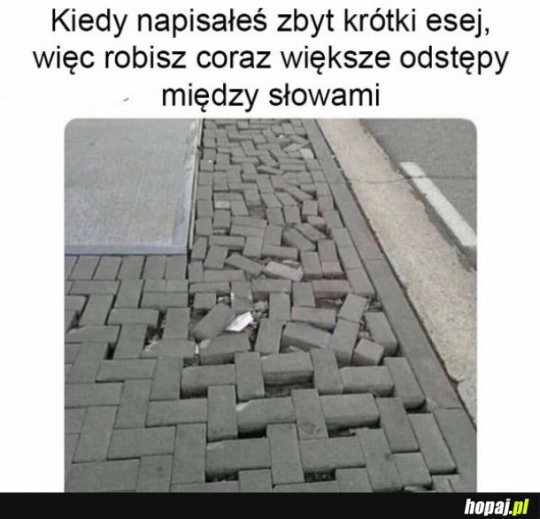 Zbyt krótko