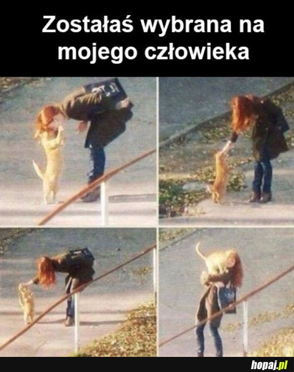 MÓJ CZŁOWIEK