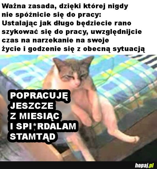 Czas na marudzenie