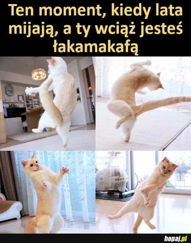 Latka lecą