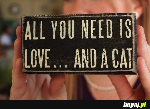 All you need is love... and cat