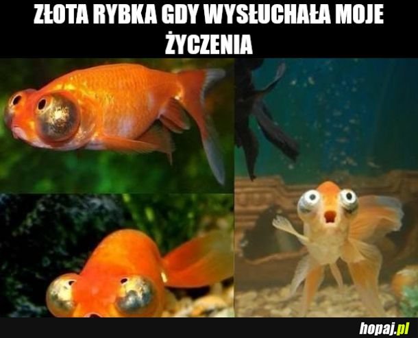 3 życzenia