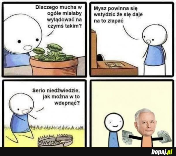 No jak można?