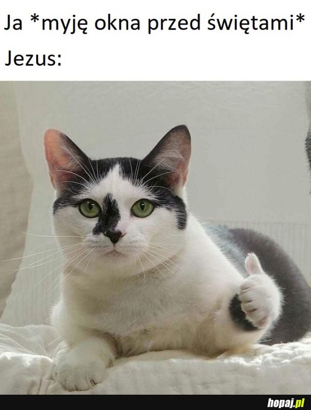 Jezus lubi to