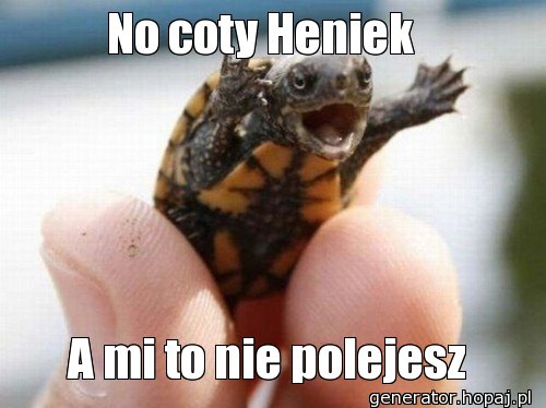 No coty Heniek  