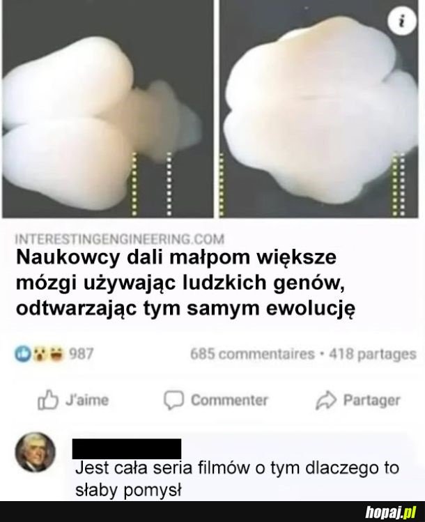 Nic się nie uczymy na filmach