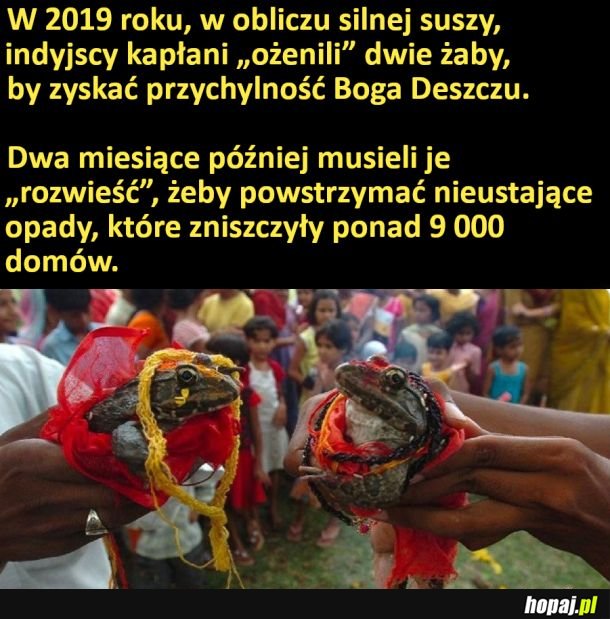Przeliczyli się, tylko gdzie?