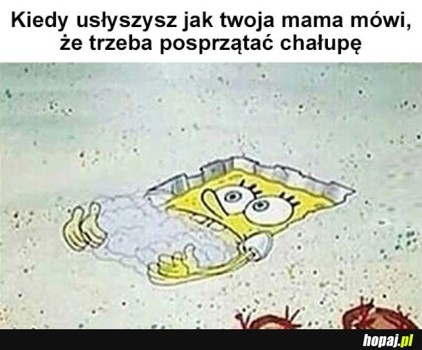 NIE MA MNIE MAMO