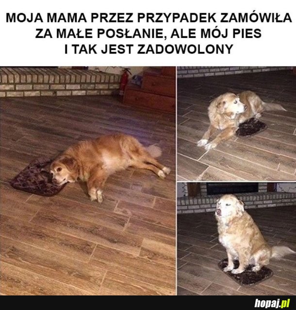 FATALE NIEPOROZUMIENIE