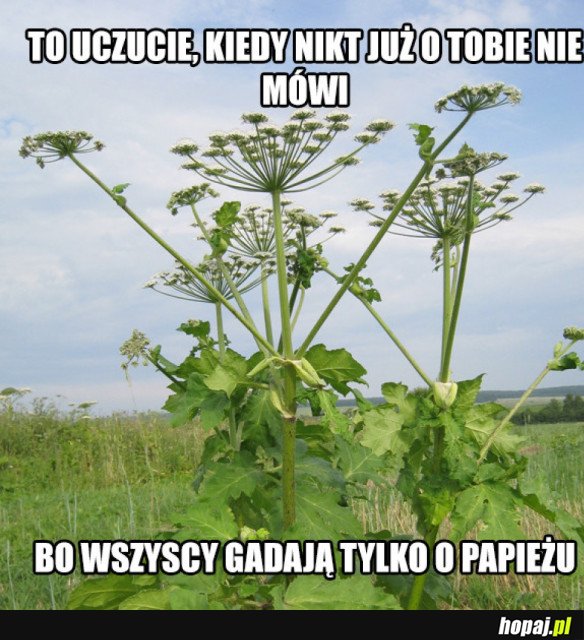 Pamiętamy