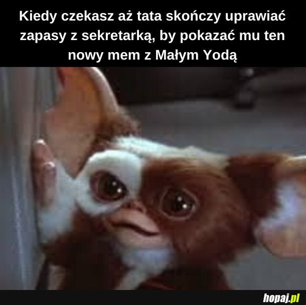 Śmieszne te memy