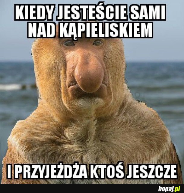 ZAWSZE TO SAMO