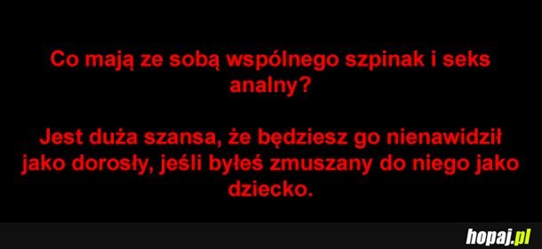 Zagadka
