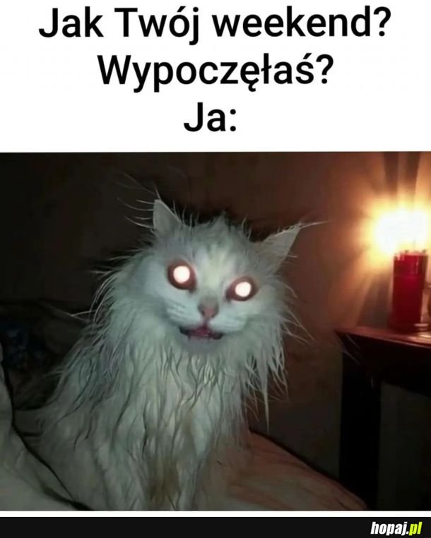 Jak minął weekend