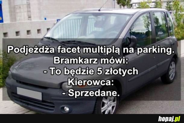 Multipla