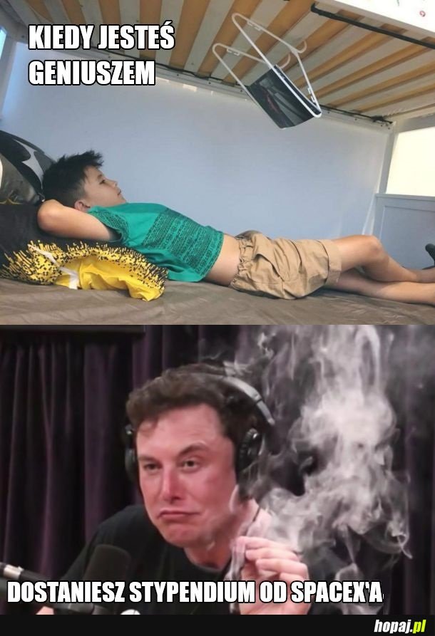 Elon