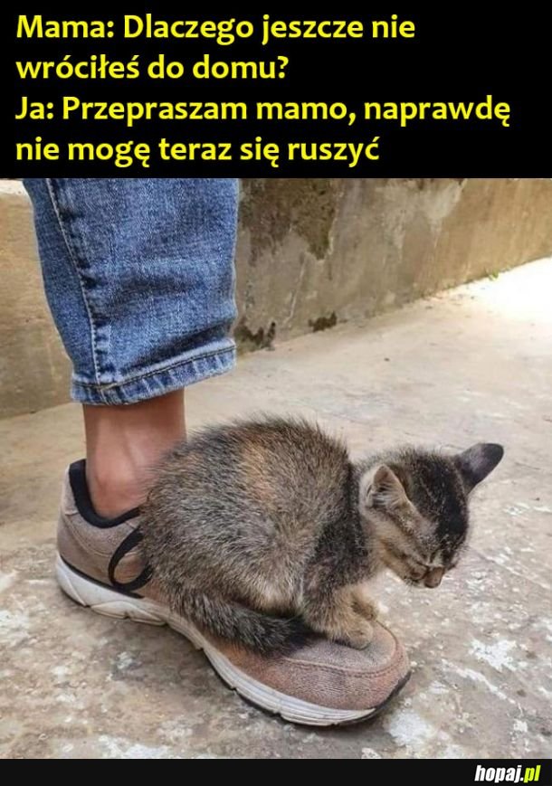 Nie mogę sie ruszać