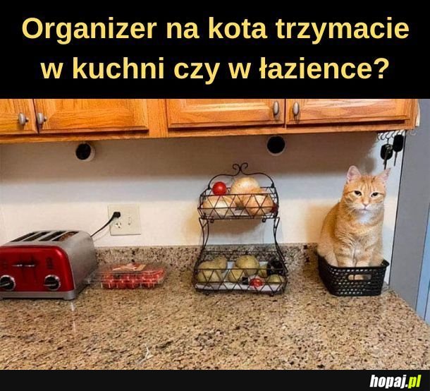 Organizer