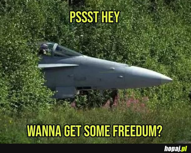 Chcecie trochę wolności i demokracji?