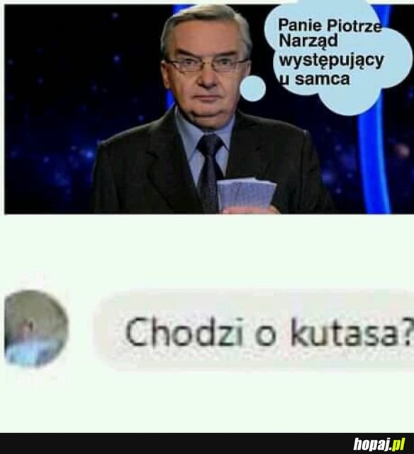 Narząd występujący u samca