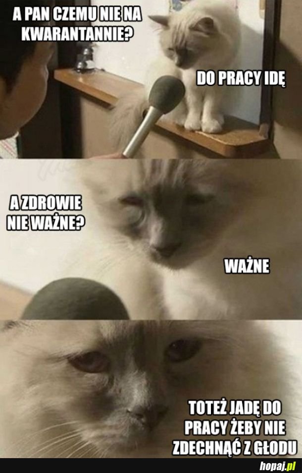 Praca podczas epidemii