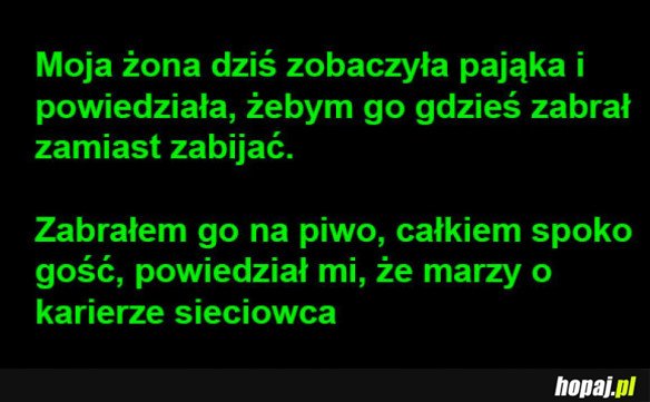 Pająk