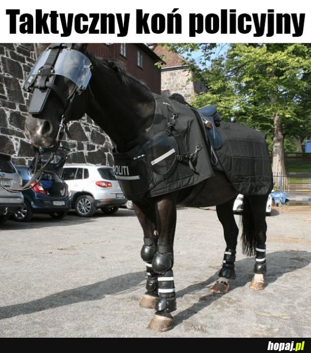 Koń taktyczny