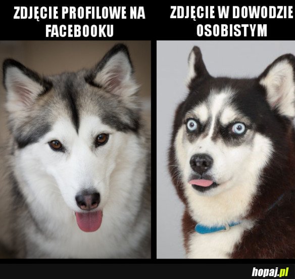 Zdjęcia takie są...