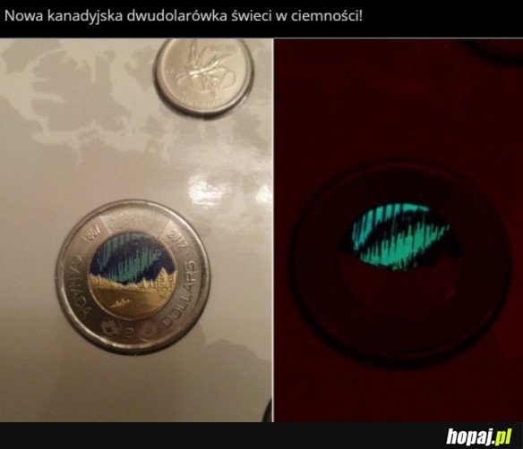 NOWA KANADYJSKA DWUDOLARÓWKA