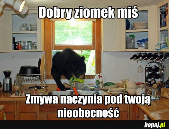 Dobry ziomek