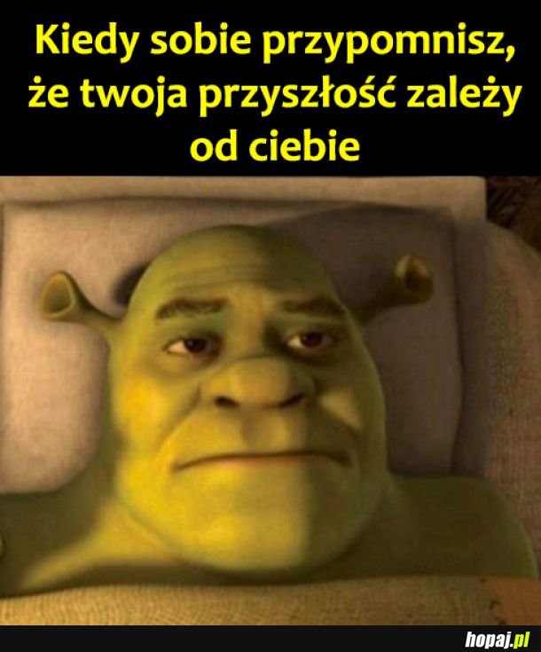 Twoja przyszłość