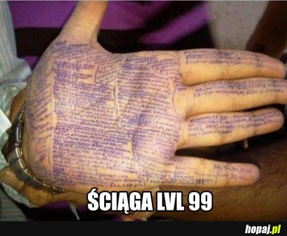 Ściąga lvl 99