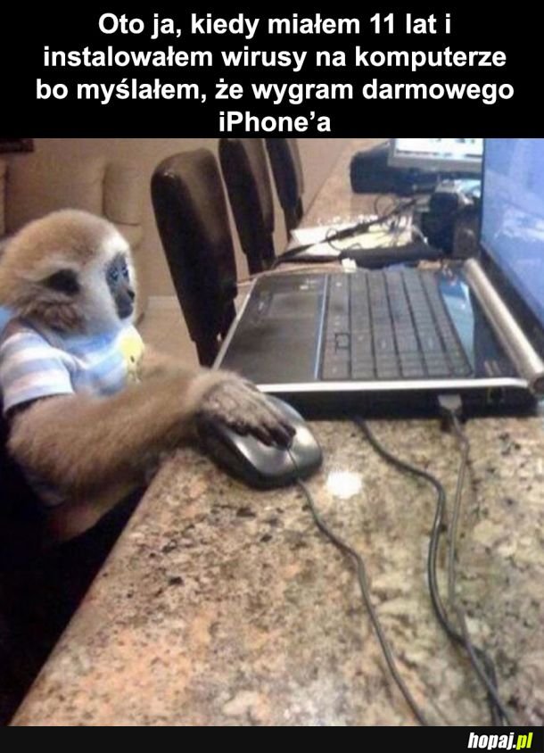 Oto ja