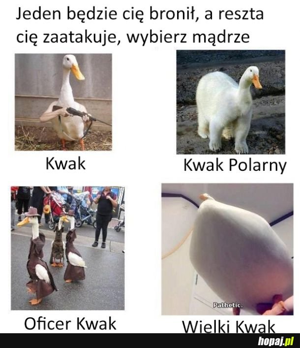 Wybierz mądrze