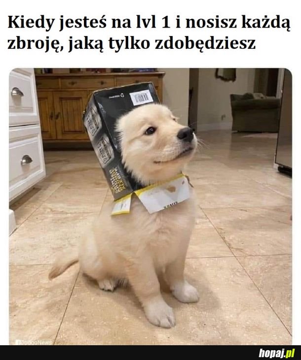 Zbroja