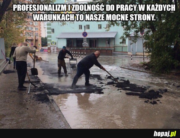 Profesjonalna robota