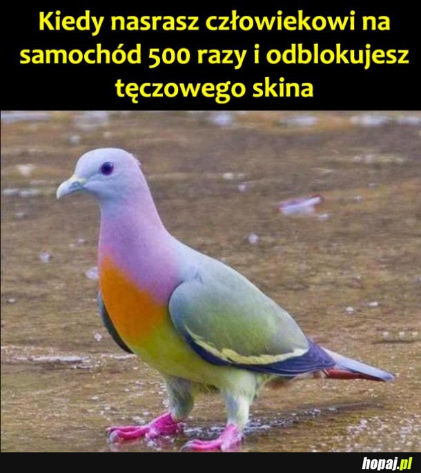 Kolejny lvl