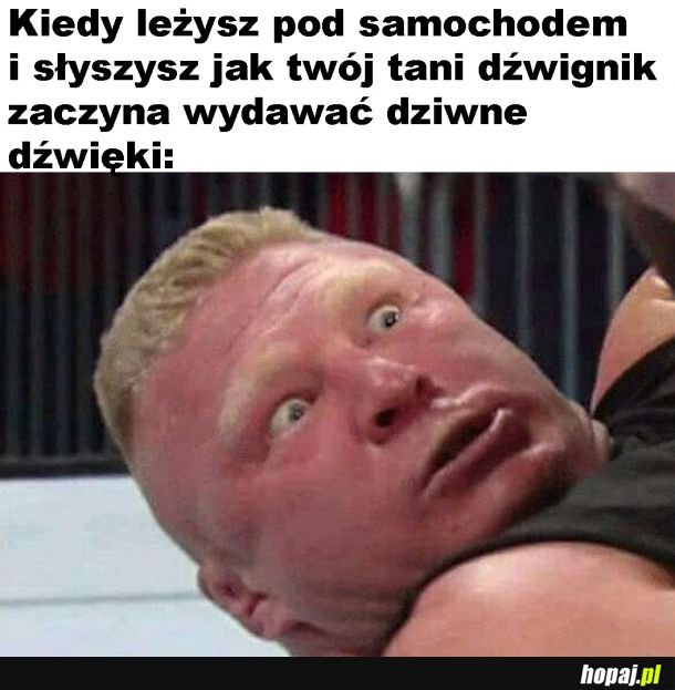 Dźwignik