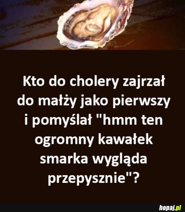 Kto taki mądry