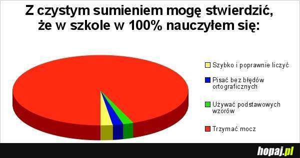 Czego nauczyłeś się w szkole?