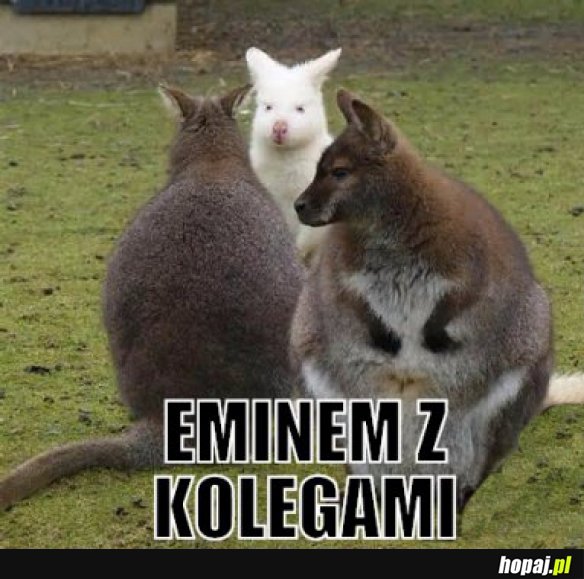 Eminem z kolegami