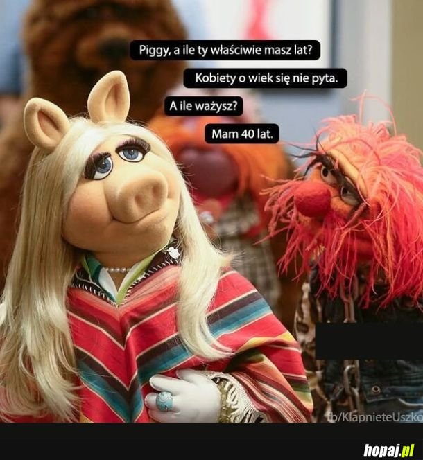 Piggy