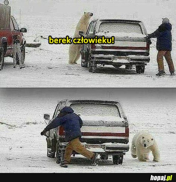 ZABAWA Z MISIEM