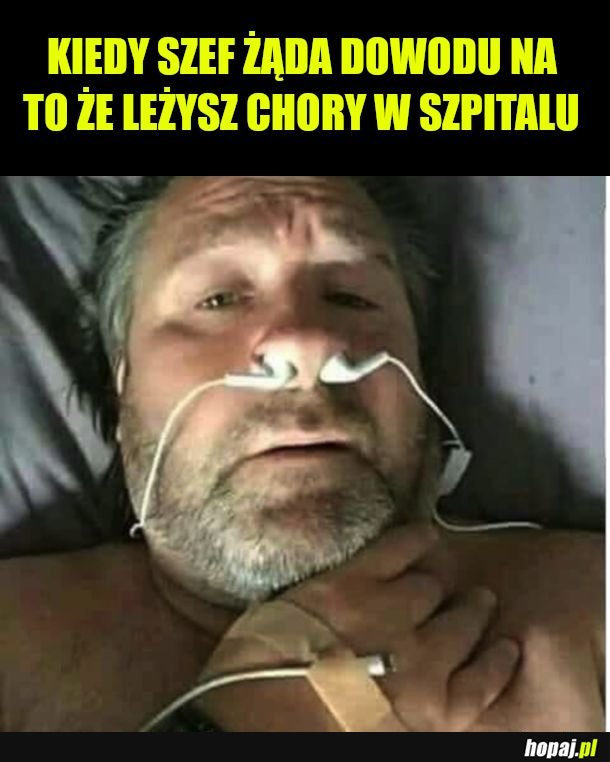 Legitnie