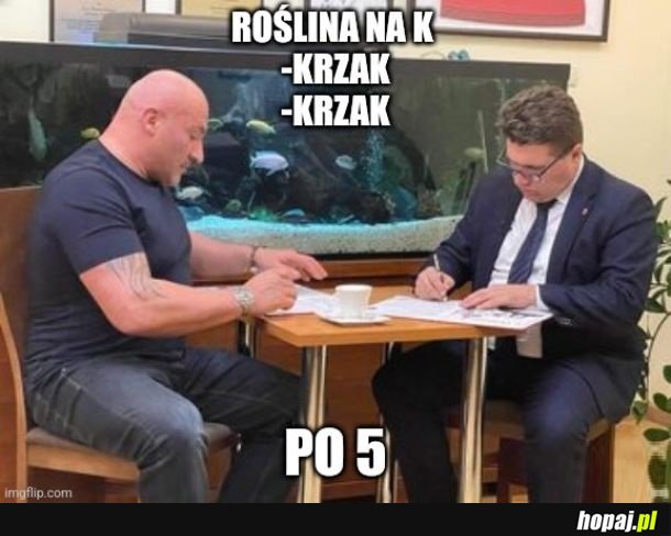 Najmany