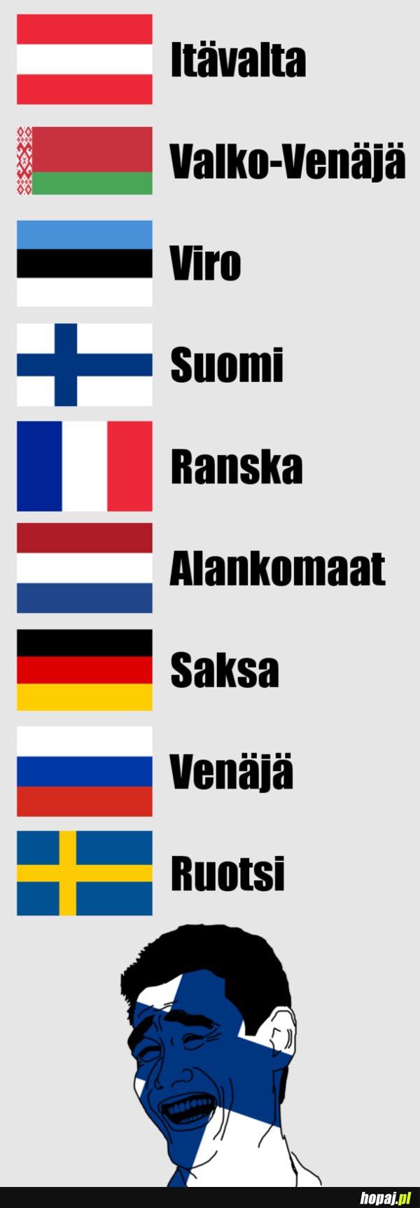 Język fiński