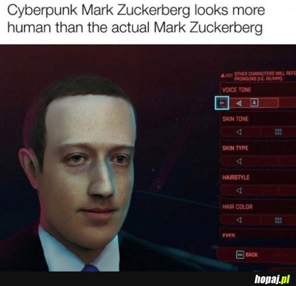 Mark Zuckerpunk