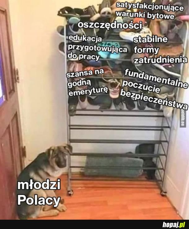  Tak to właśnie wygląda