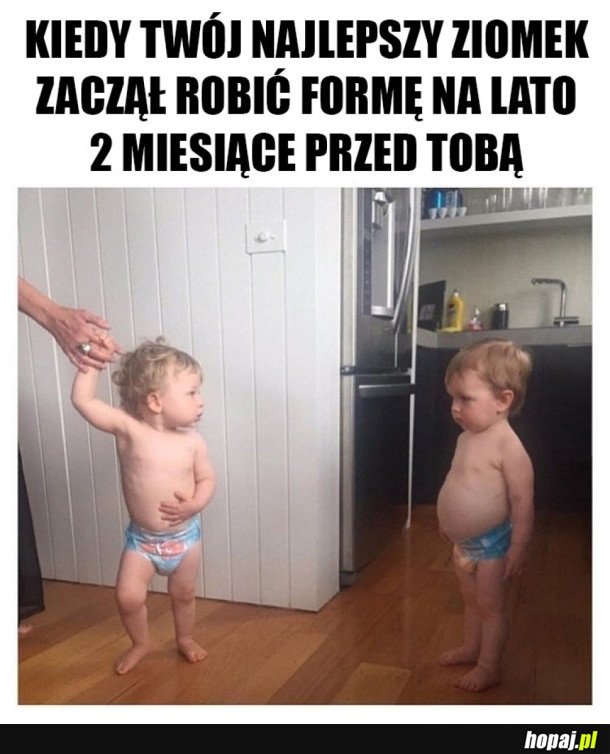 ZIOMEK WCZEŚNIEJ ZROBIŁ FORMĘ